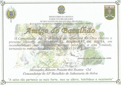 Diploma (Amigo do Batalhão)!