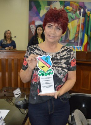 PROFISSIONAL DA IMPRENSA