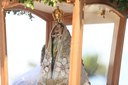 CÂMARA DE ITAITUBA REALIZA SESSÃO SOLENE EM HOMENAGEM À VISITA DA IMAGEM PEREGRINA DE NOSSA SENHORA DE NAZARÉ